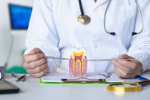 Best Emergency Treatment for Dental Infections or Abscesses in Fruitland, ID